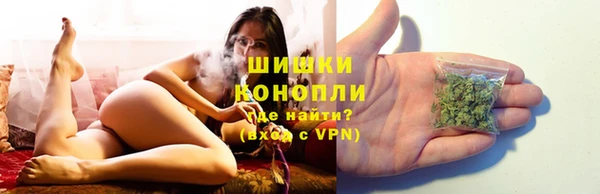 гидра Белоозёрский