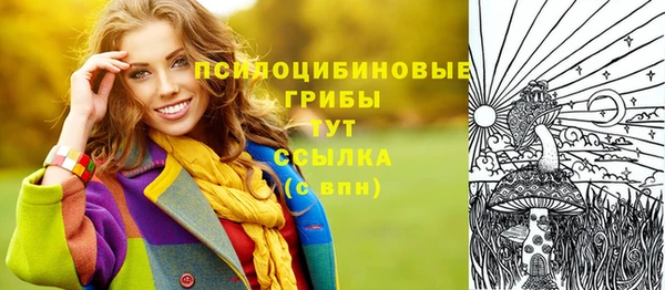 гидра Белоозёрский