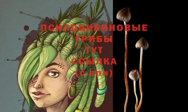 2c-b Белокуриха