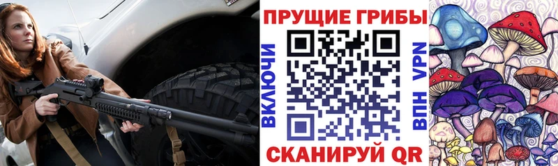 Псилоцибиновые грибы Psilocybe Яровое